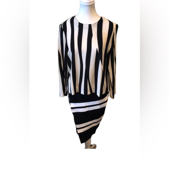 A.L.C. Campbell Striped Skirt Black White Size S - Picture 13 of 14